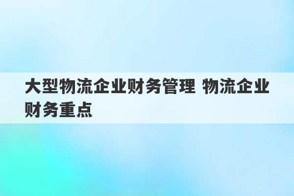 大型物流企业财务管理 物流企业财务重点