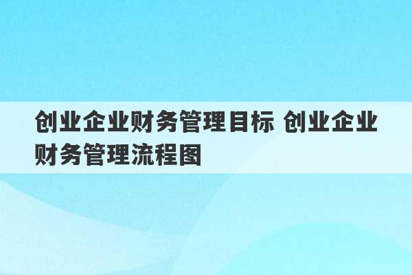 创业企业财务管理目标 创业企业财务管理流程图