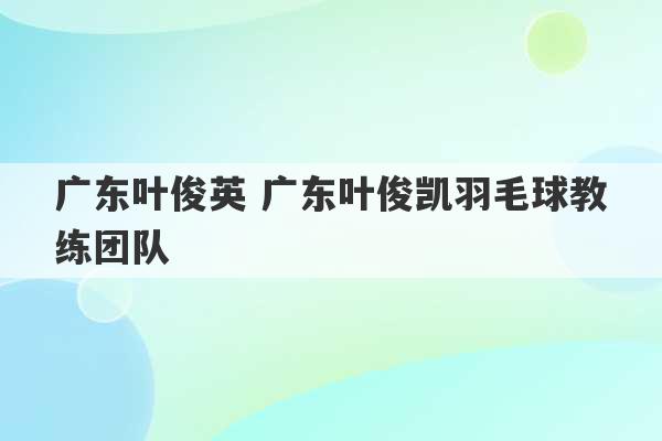 广东叶俊英 广东叶俊凯羽毛球教练团队