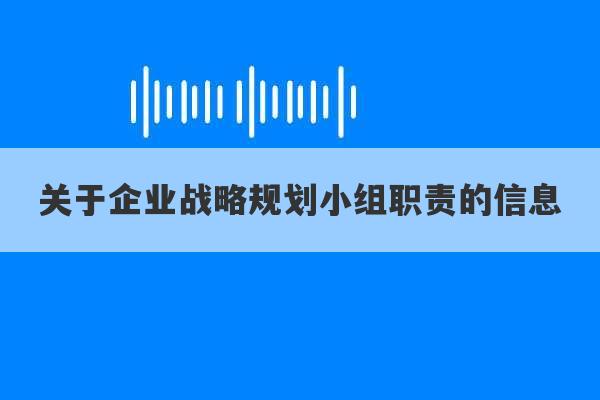 关于企业战略规划小组职责的信息