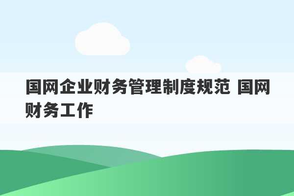 国网企业财务管理制度规范 国网财务工作