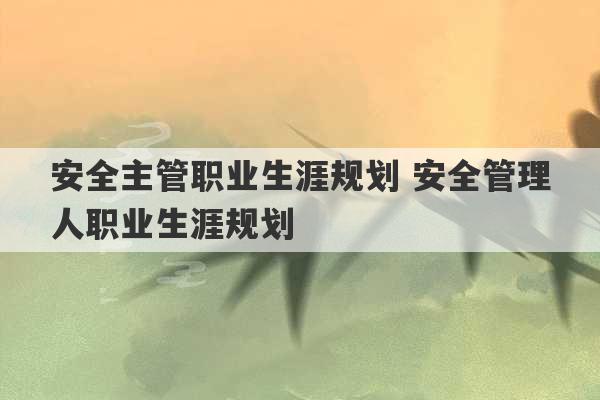 安全主管职业生涯规划 安全管理人职业生涯规划