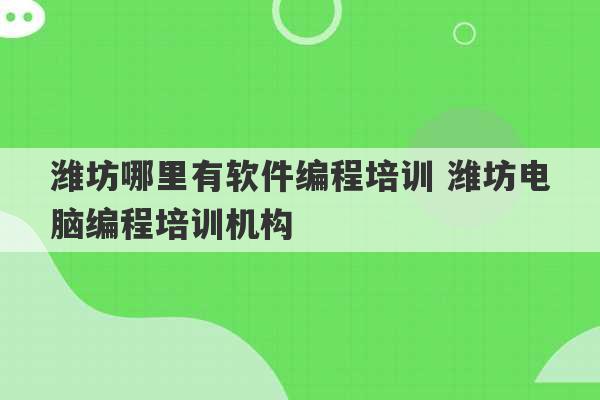 潍坊哪里有软件编程培训 潍坊电脑编程培训机构