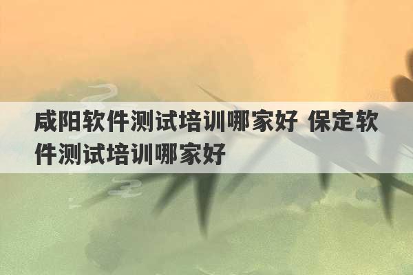 咸阳软件测试培训哪家好 保定软件测试培训哪家好