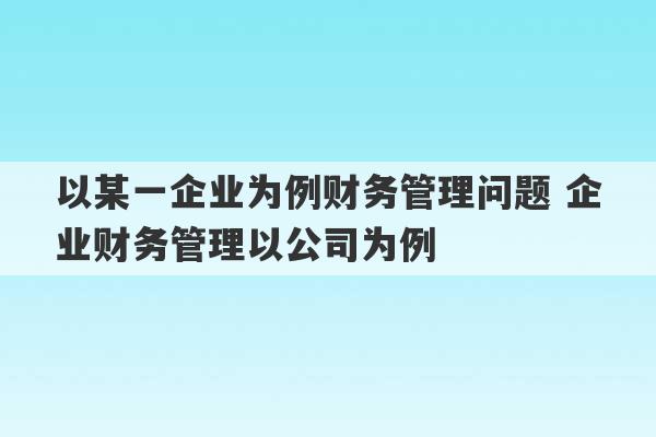 以某一企业为例财务管理问题 企业财务管理以公司为例