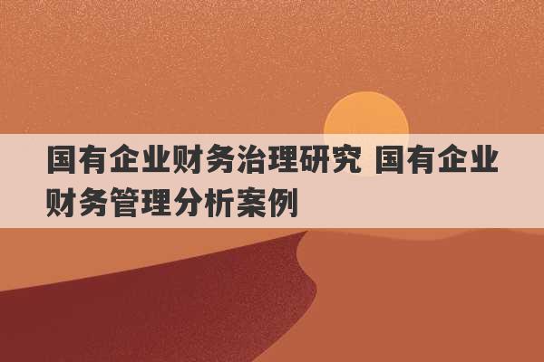 国有企业财务治理研究 国有企业财务管理分析案例