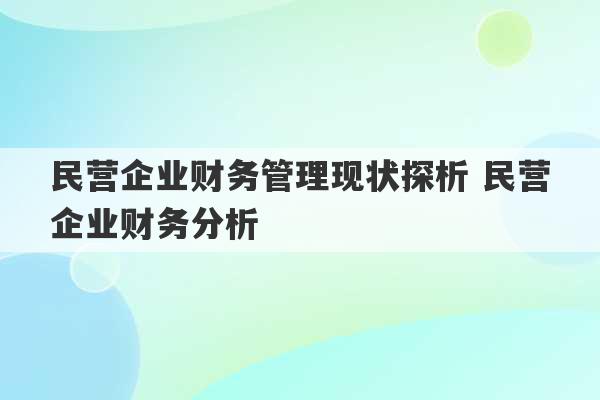 民营企业财务管理现状探析 民营企业财务分析