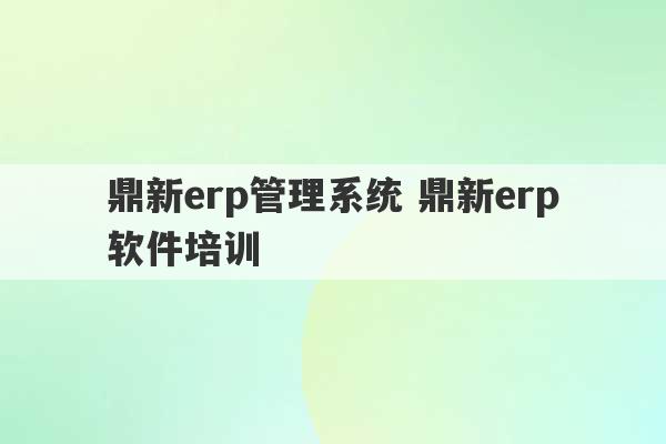 鼎新erp管理系统 鼎新erp软件培训