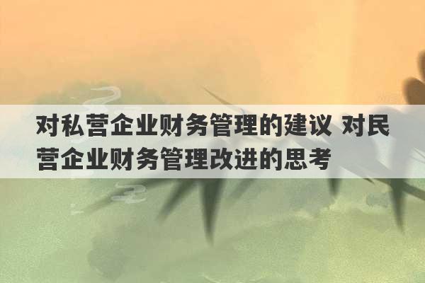 对私营企业财务管理的建议 对民营企业财务管理改进的思考