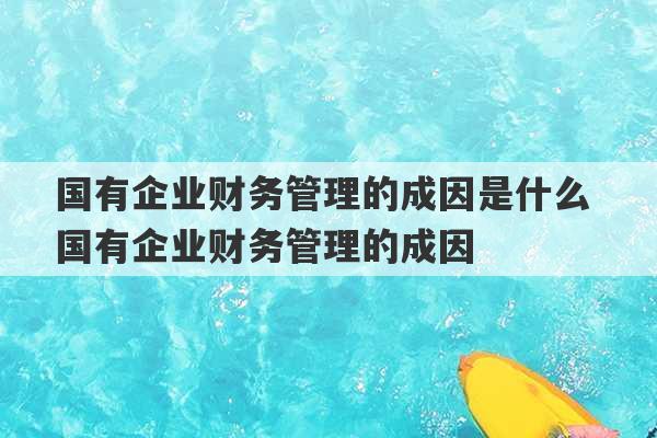 国有企业财务管理的成因是什么 国有企业财务管理的成因