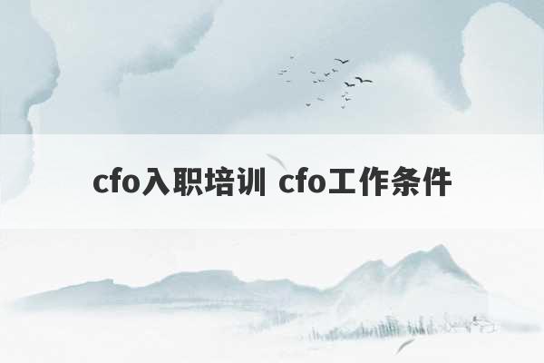 cfo入职培训 cfo工作条件