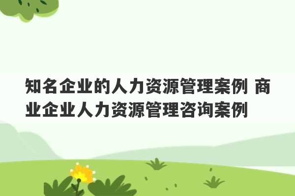 知名企业的人力资源管理案例 商业企业人力资源管理咨询案例