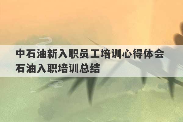 中石油新入职员工培训心得体会 石油入职培训总结