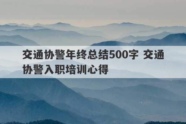 交通协警年终总结500字 交通协警入职培训心得