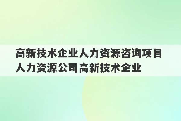 高新技术企业人力资源咨询项目 人力资源公司高新技术企业