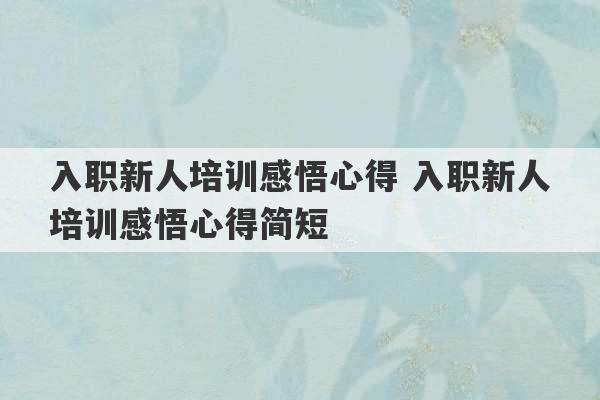 入职新人培训感悟心得 入职新人培训感悟心得简短