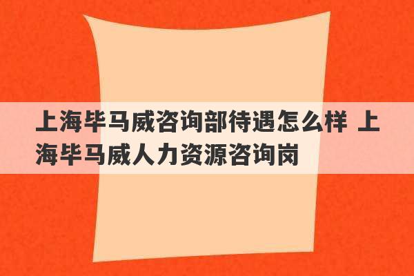 上海毕马威咨询部待遇怎么样 上海毕马威人力资源咨询岗