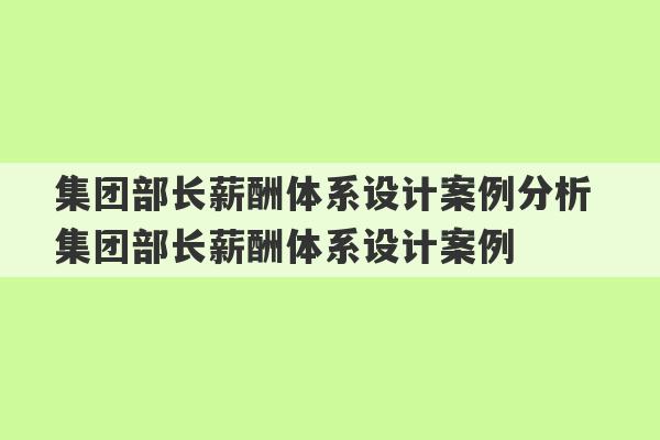 集团部长薪酬体系设计案例分析 集团部长薪酬体系设计案例