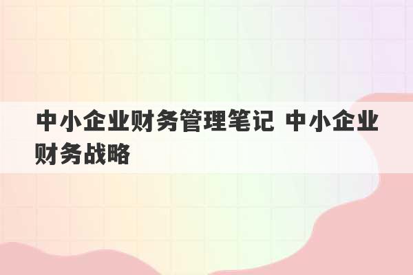 中小企业财务管理笔记 中小企业财务战略