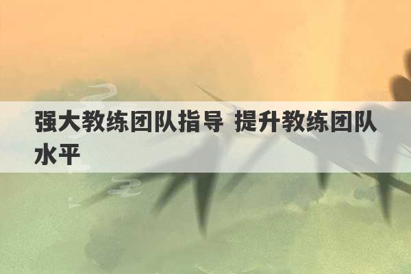 强大教练团队指导 提升教练团队水平