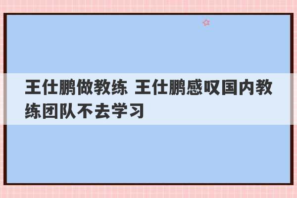 王仕鹏做教练 王仕鹏感叹国内教练团队不去学习