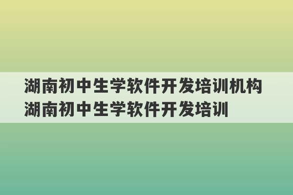 湖南初中生学软件开发培训机构 湖南初中生学软件开发培训