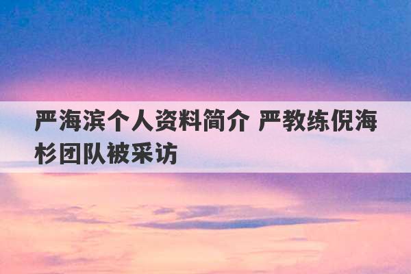 严海滨个人资料简介 严教练倪海杉团队被采访