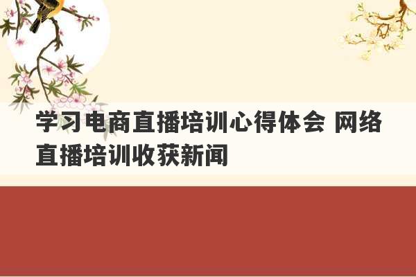 学习电商直播培训心得体会 网络直播培训收获新闻