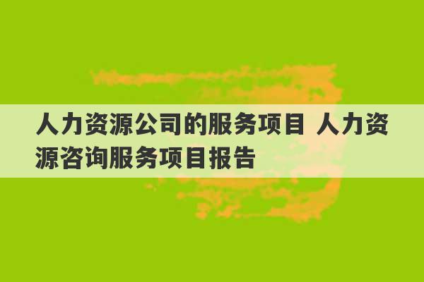 人力资源公司的服务项目 人力资源咨询服务项目报告