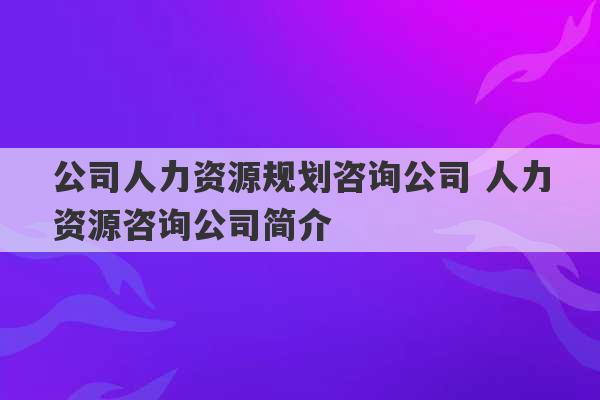 公司人力资源规划咨询公司 人力资源咨询公司简介