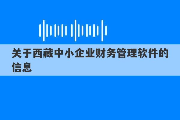 关于西藏中小企业财务管理软件的信息