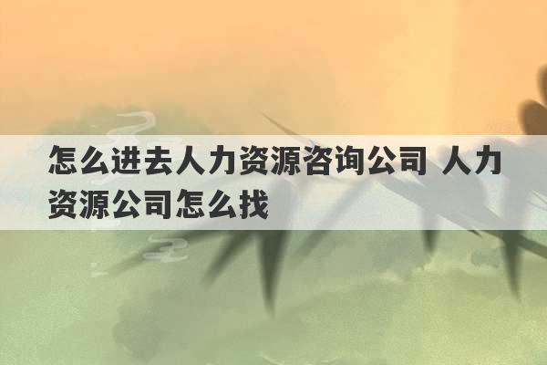 怎么进去人力资源咨询公司 人力资源公司怎么找