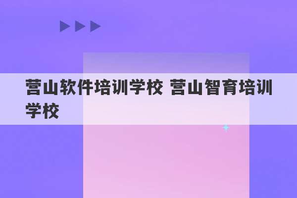 营山软件培训学校 营山智育培训学校