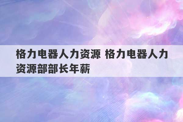 格力电器人力资源 格力电器人力资源部部长年薪