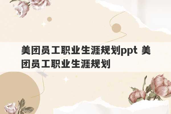 美团员工职业生涯规划ppt 美团员工职业生涯规划