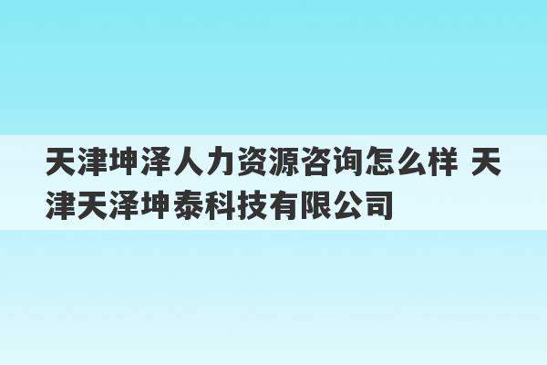 天津坤泽人力资源咨询怎么样 天津天泽坤泰科技有限公司