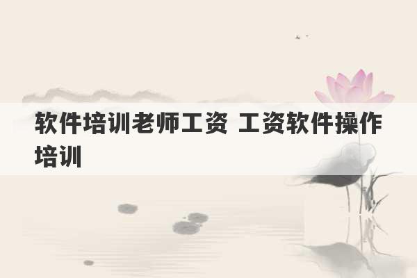 软件培训老师工资 工资软件操作培训