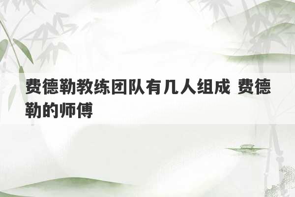 费德勒教练团队有几人组成 费德勒的师傅