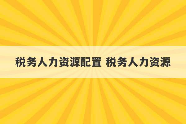 税务人力资源配置 税务人力资源