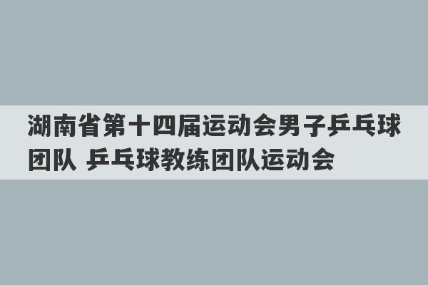 湖南省第十四届运动会男子乒乓球团队 乒乓球教练团队运动会