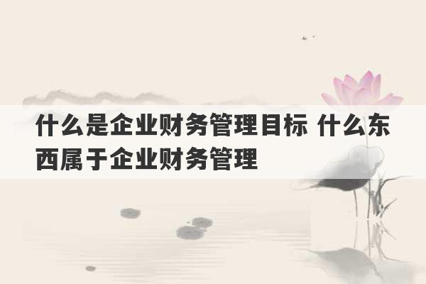 什么是企业财务管理目标 什么东西属于企业财务管理