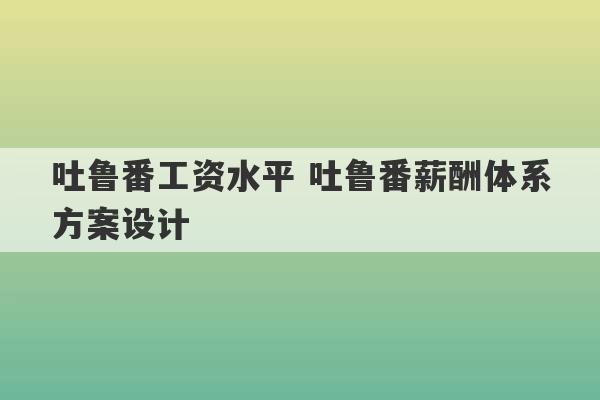 吐鲁番工资水平 吐鲁番薪酬体系方案设计