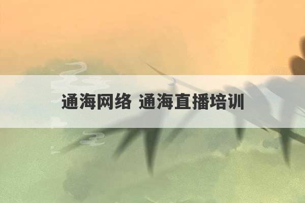 通海网络 通海直播培训