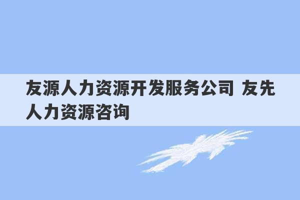 友源人力资源开发服务公司 友先人力资源咨询