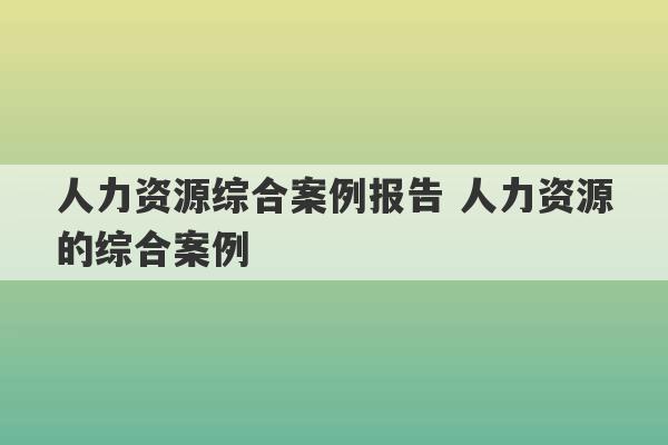 人力资源综合案例报告 人力资源的综合案例