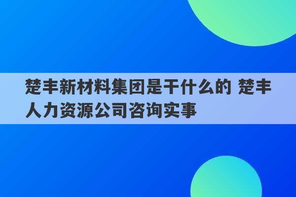 楚丰新材料集团是干什么的 楚丰人力资源公司咨询实事