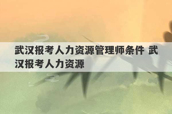 武汉报考人力资源管理师条件 武汉报考人力资源