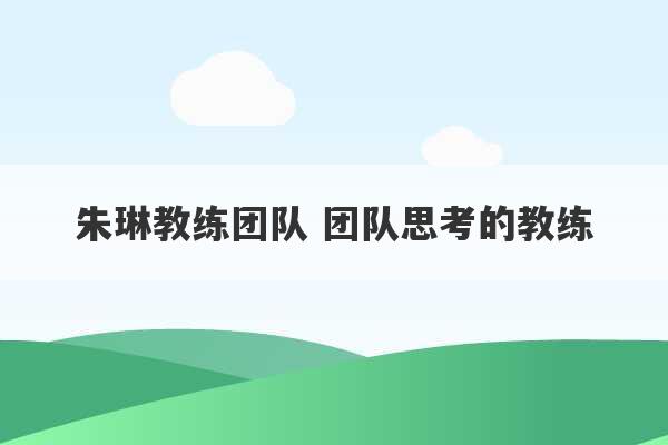 朱琳教练团队 团队思考的教练