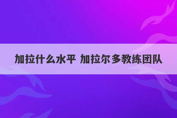 加拉什么水平 加拉尔多教练团队