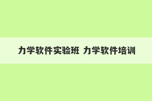 力学软件实验班 力学软件培训